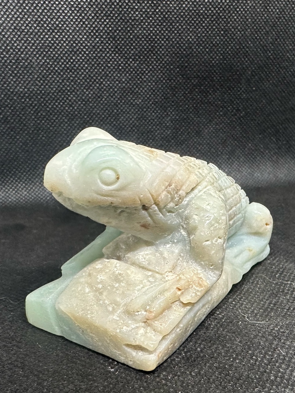 Amazonite lizard - Picture 3 of 6